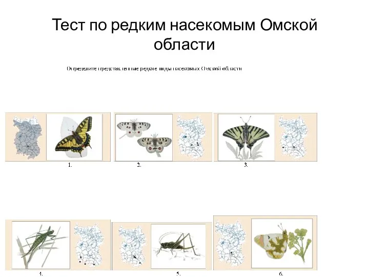 Тест по редким насекомым Омской области