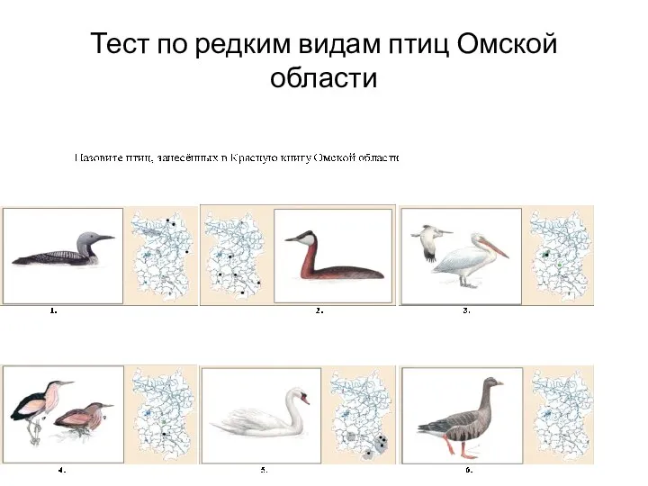 Тест по редким видам птиц Омской области