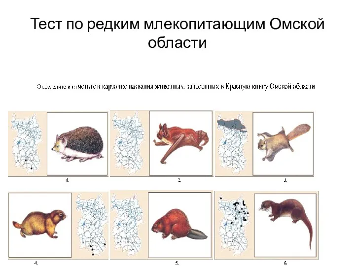Тест по редким млекопитающим Омской области
