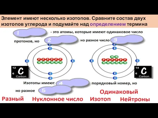 Элемент имеют несколько изотопов. Сравните состав двух изотопов углерода и подумайте над определением термина «изотоп»