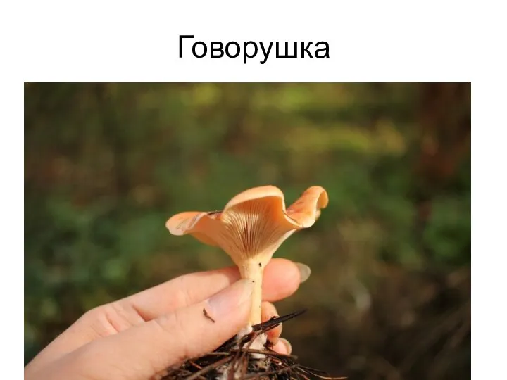 Говорушка