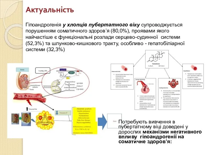 Актуальність Потребують вивчення в пубертатному віці доведені у дорослих механізми негативного впливу