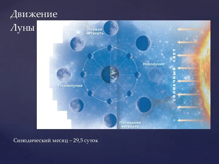 Движение Луны Синодический месяц – 29,5 суток