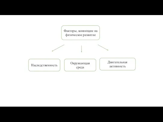 Факторы, влияющие на физическое развитие Наследственность Окружающая среда Двигательная активность