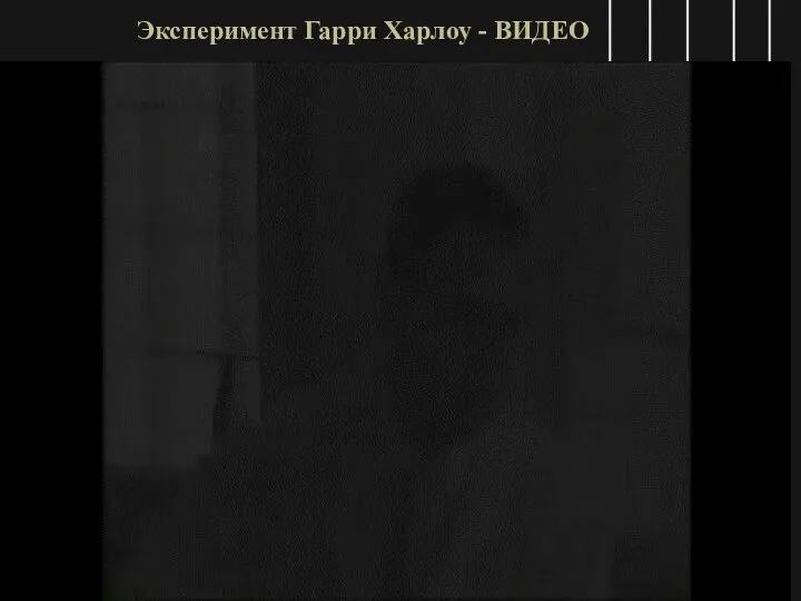 Эксперимент Гарри Харлоу - ВИДЕО