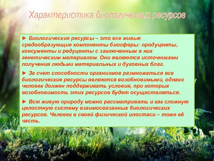 Характеристика биологических ресурсов ► Биологические ресурсы – это все живые средообразующие компоненты