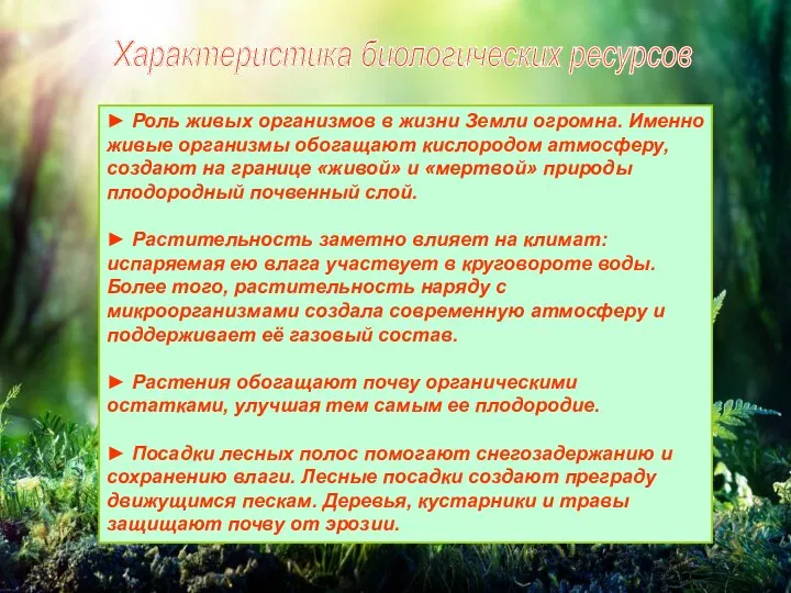 Характеристика биологических ресурсов ► Роль живых организмов в жизни Земли огромна. Именно