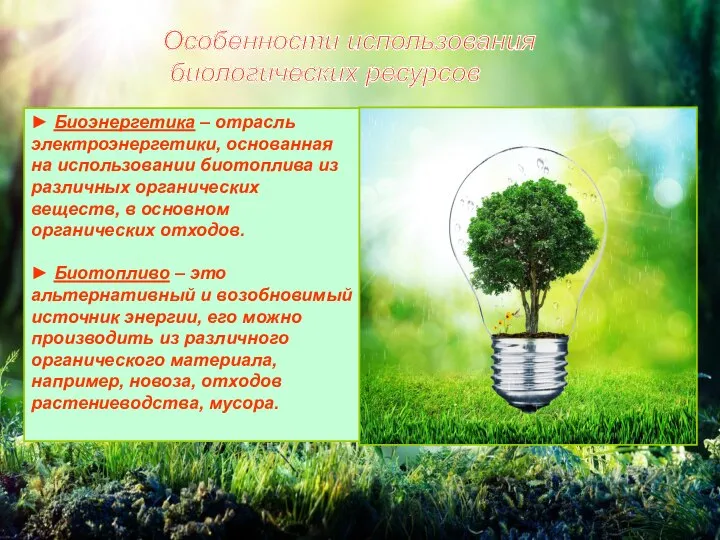 Особенности использования биологических ресурсов ► Биоэнергетика ‒ отрасль электроэнергетики, основанная на использовании