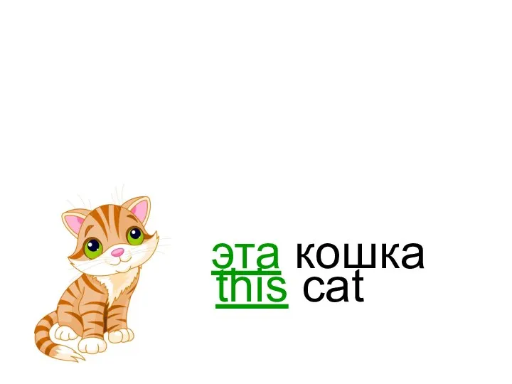 эта кошка this cat