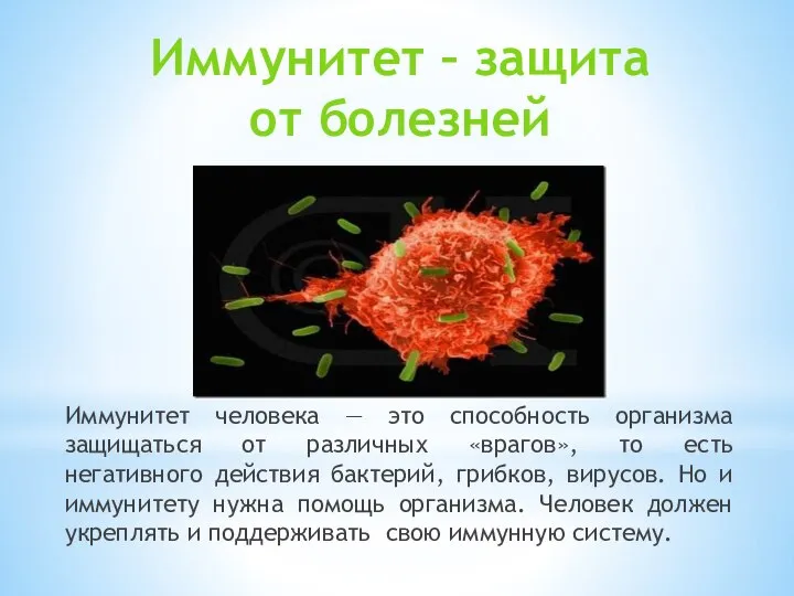 Иммунитет человека — это способность организма защищаться от различных «врагов», то есть