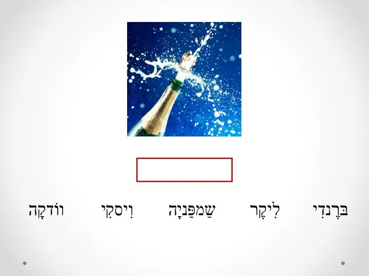 בּרֶנדִי לִיקֶר וִיסקִי ווֹדקָה שַמפַּניָה