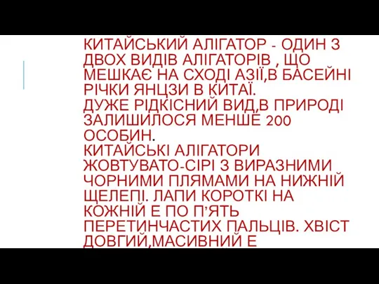 КИТАЙСЬКИЙ АЛІГАТОР - ОДИН З ДВОХ ВИДІВ АЛІГАТОРІВ , ЩО МЕШКАЄ НА