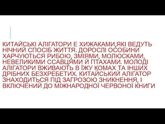 КИТАЙСЬКІ АЛІГАТОРИ Е ХИЖАКАМИ,ЯКІ ВЕДУТЬ НІЧНИЙ СПОСІБ ЖИТТЯ. ДОРОСЛІ ОСОБИНИ ХАРЧУЮТЬСЯ РИБОЮ,