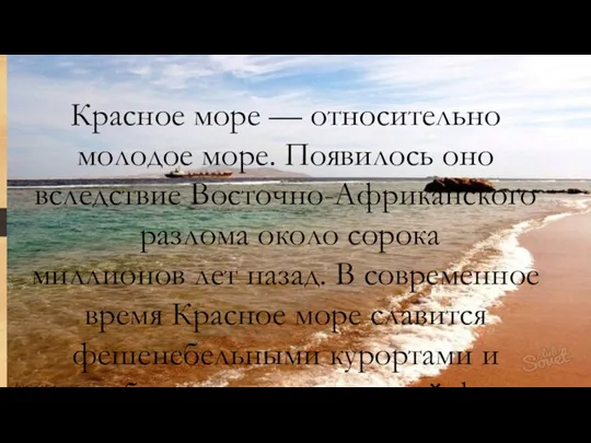 Красное море — относительно молодое море. Появилось оно вследствие Восточно-Африканского разлома около