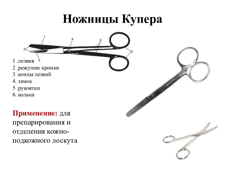 Ножницы Купера 1 .лезвия 2 .режущие кромки 3 .концы лезвий 4. замок