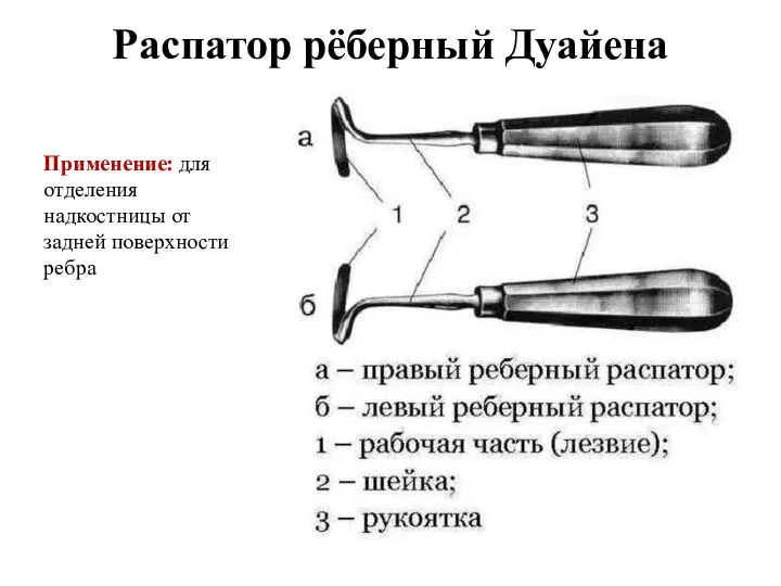 Распатор рёберный Дуайена Применение: для отделения надкостницы от задней поверхности ребра