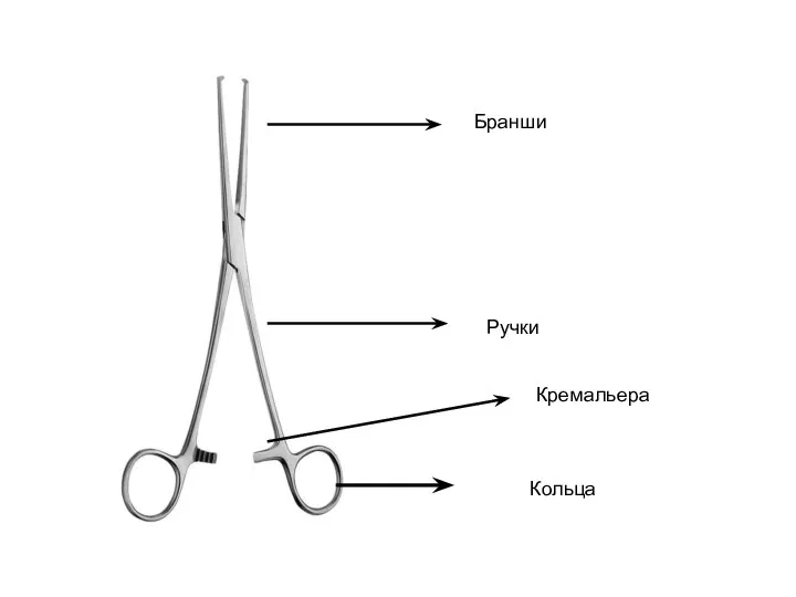 Бранши Ручки Кремальера Кольца