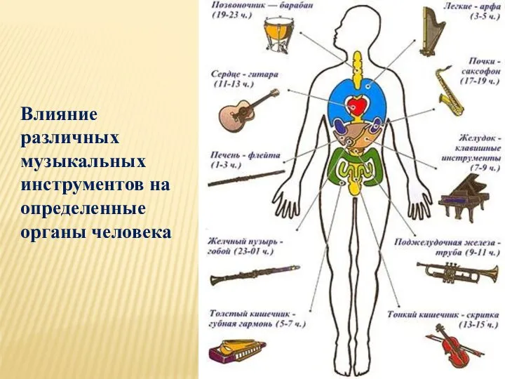 Влияние различных музыкальных инструментов на определенные органы человека