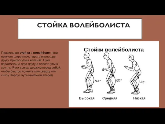 СТОЙКА ВОЛЕЙБОЛИСТА Правильная стойка в волейболе: ноги немного шире плеч, параллельно друг