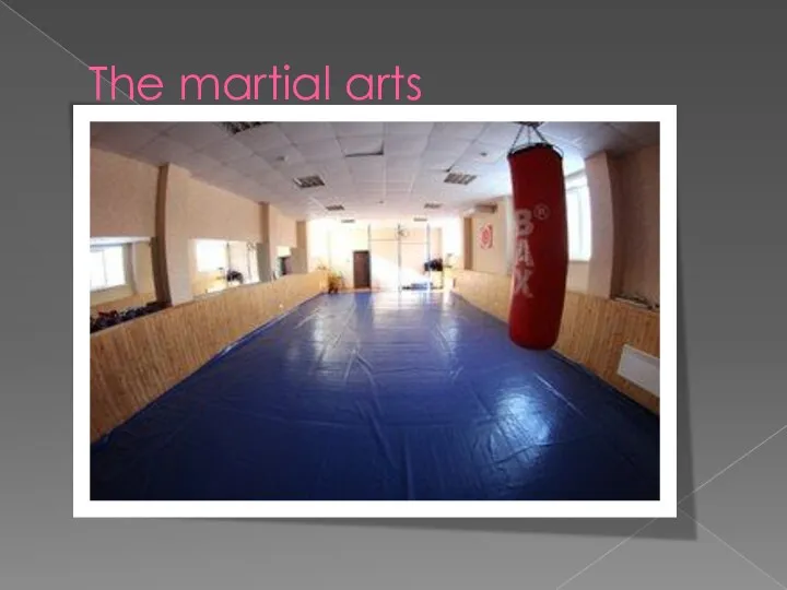 The martial arts