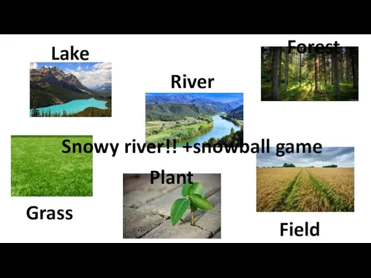 Lake River Forest Field Grass Plant Snowy river!! +snowball game