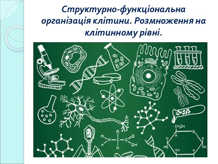 Структурно-функціональна організація клітини. Розмноження на клітинному рівні.