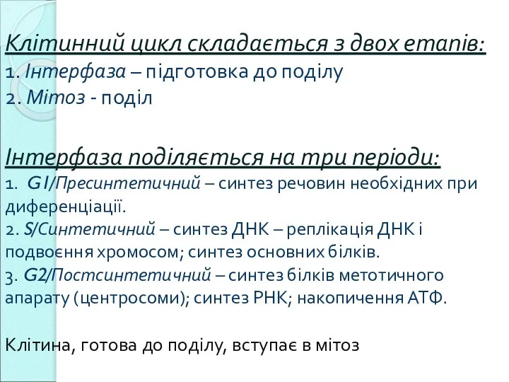 Клітинний цикл складається з двох етапів: 1. Інтерфаза – підготовка до поділу