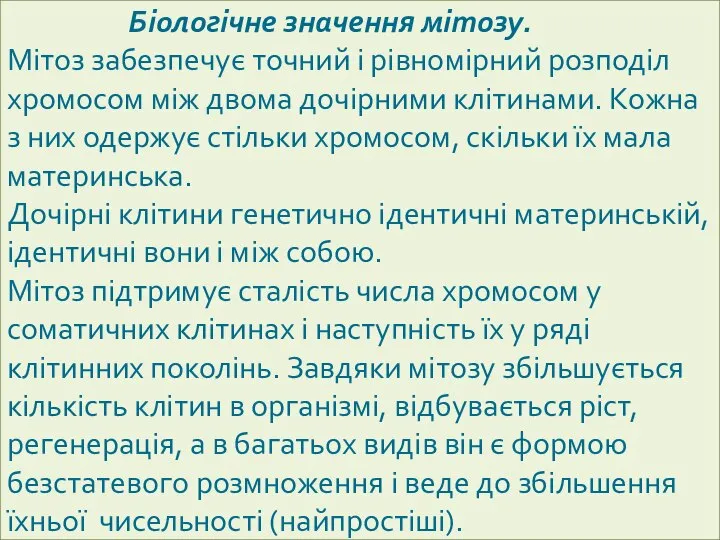 Біологічне значення мітозу. Мітоз забезпечує точний і рівномірний розподіл хромосом між двома