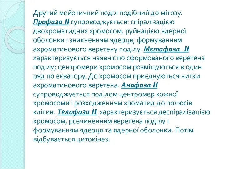 Другий мейотичний поділ подібний до мітозу. Профаза II супроводжується: спіралізацією двохроматидних хромосом,