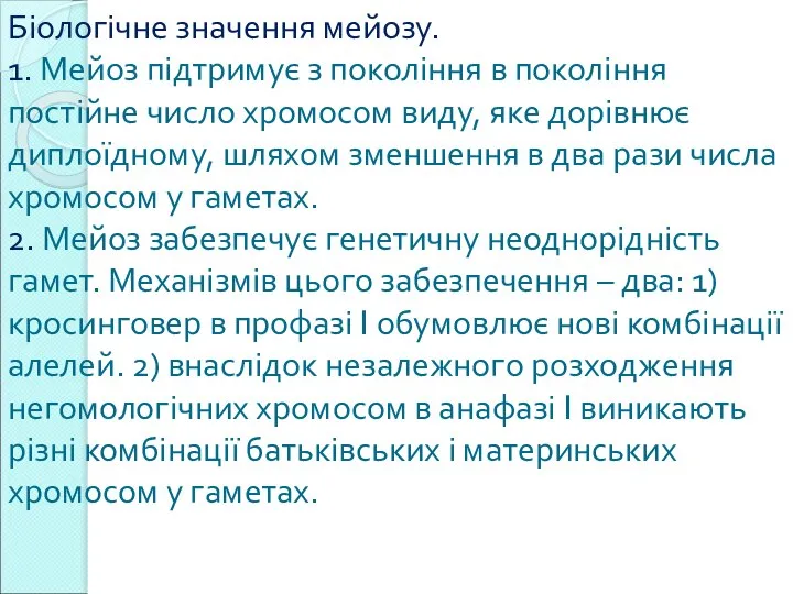 Біологічне значення мейозу. 1. Мейоз підтримує з покоління в покоління постійне число