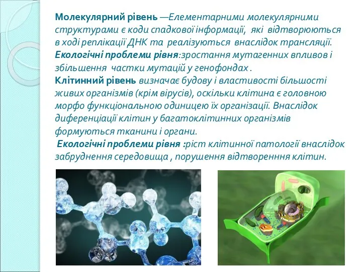 Молекулярний рівень —Елементарними молекулярними структурами є коди спадкової інформації, які відтворюються в