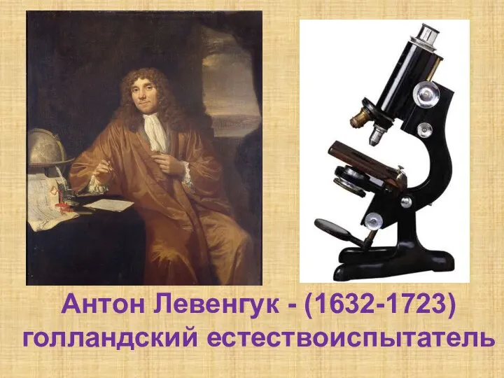 Антон Левенгук - (1632-1723) голландский естествоиспытатель