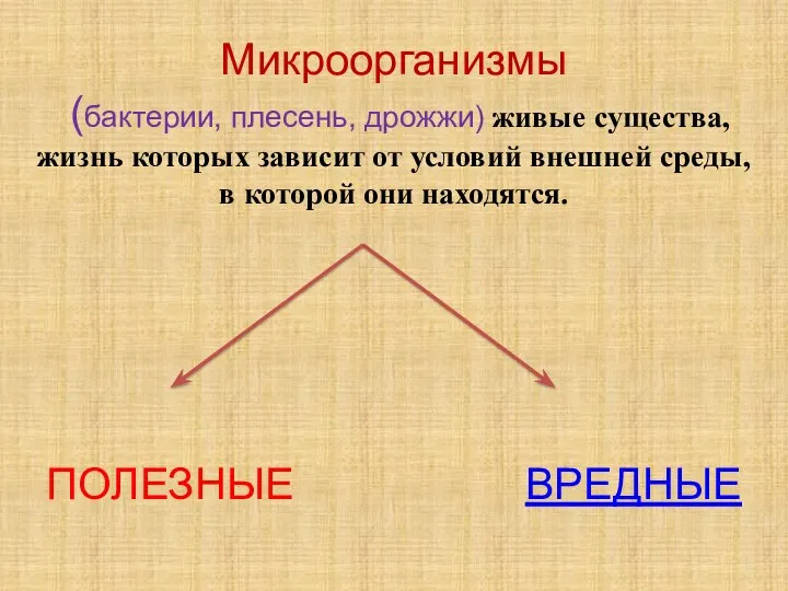 Микроорганизмы (бактерии, плесень, дрожжи) живые существа, жизнь которых зависит от условий внешней