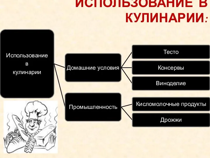 ИСПОЛЬЗОВАНИЕ В КУЛИНАРИИ: