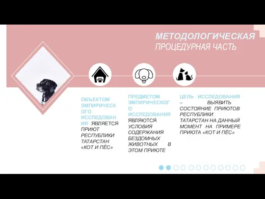 МЕТОДОЛОГИЧЕСКАЯ ПРОЦЕДУРНАЯ ЧАСТЬ ОБЪЕКТОМ ЭМПИРИЧЕСКОГО ИССЛЕДОВАНИЯ ЯВЛЯЕТСЯ ПРИЮТ РЕСПУБЛИКИ ТАТАРСТАН «КОТ И