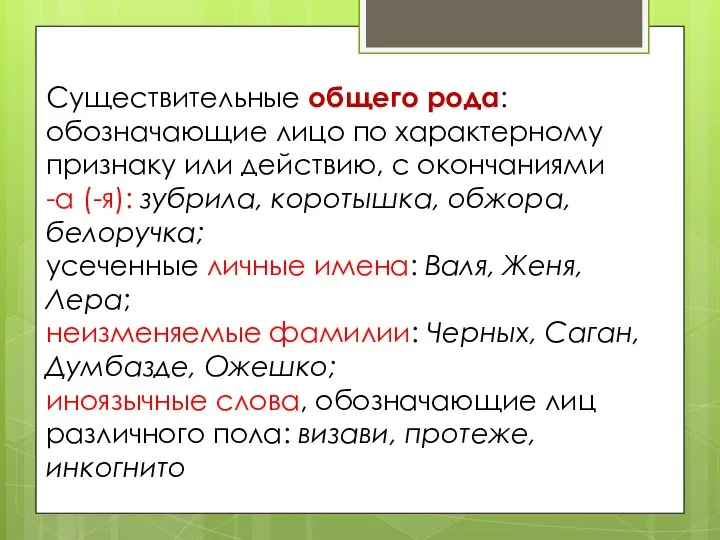 Существительные общего рода: обозначающие лицо по характерному признаку или действию, с окончаниями