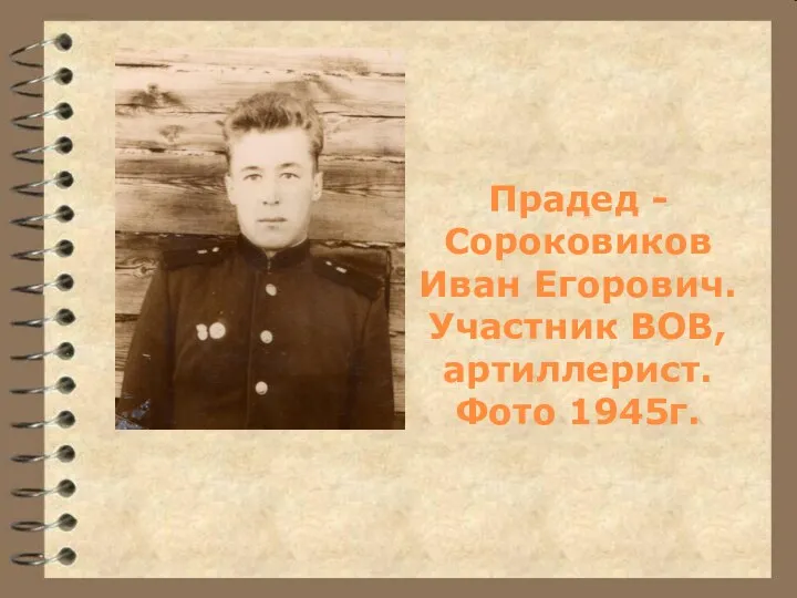 Прадед -Сороковиков Иван Егорович. Участник ВОВ, артиллерист. Фото 1945г.