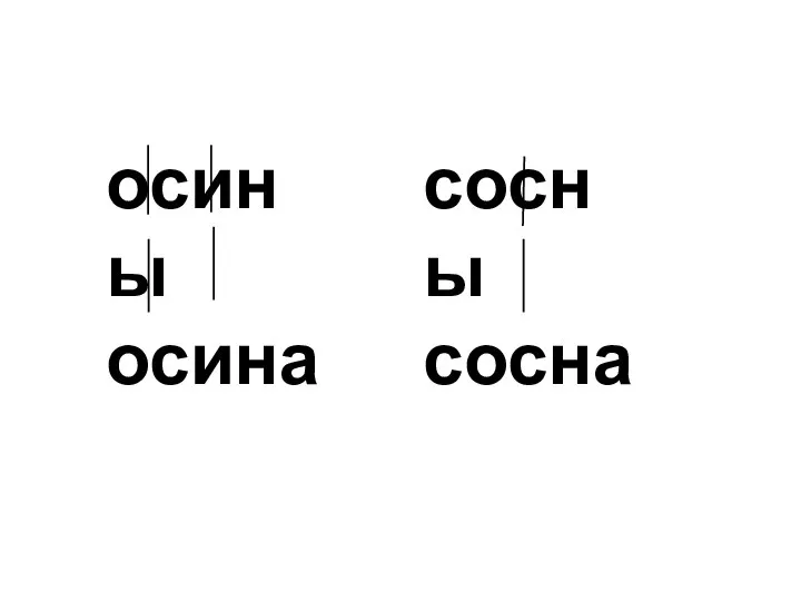 осины осина сосны сосна