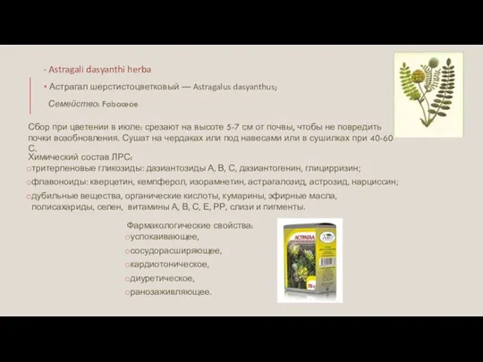 - Astragali dasyanthi herba Астрагал шерстистоцветковый — Astragalus dasyanthus; Семейство: Fabaceae Химический