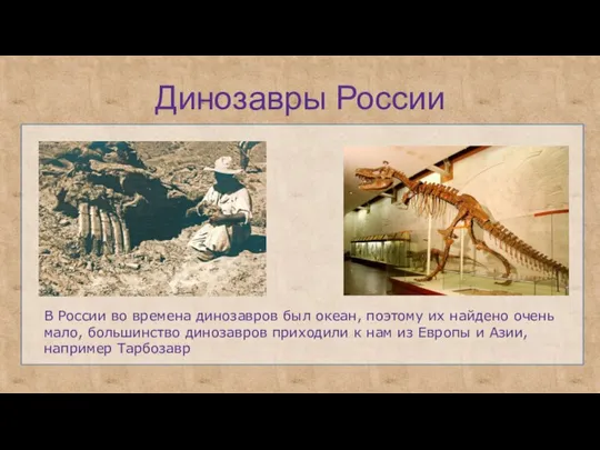 Динозавры России В России во времена динозавров был океан, поэтому их найдено