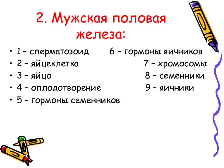 2. Мужская половая железа: 1 – сперматозоид 6 – гормоны яичников 2