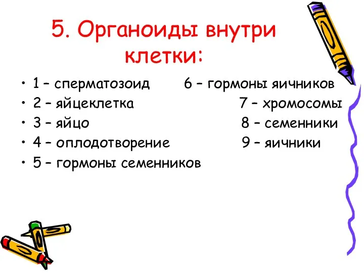 5. Органоиды внутри клетки: 1 – сперматозоид 6 – гормоны яичников 2