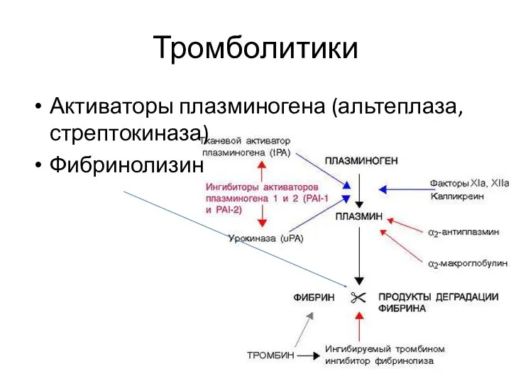 Тромболитики Активаторы плазминогена (альтеплаза, стрептокиназа) Фибринолизин