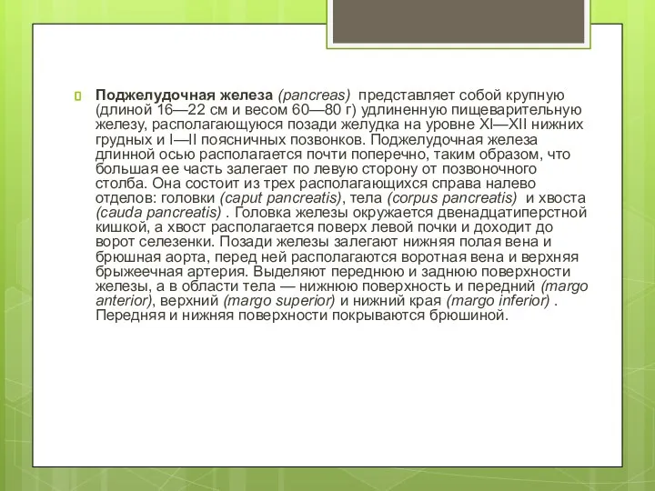 Поджелудочная железа (pancreas) представляет собой крупную (длиной 16—22 см и весом 60—80