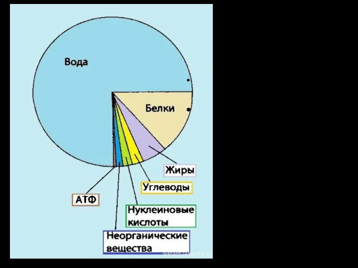 Вещества клетки