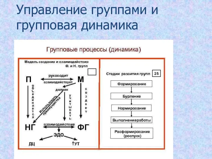 Управление группами и групповая динамика