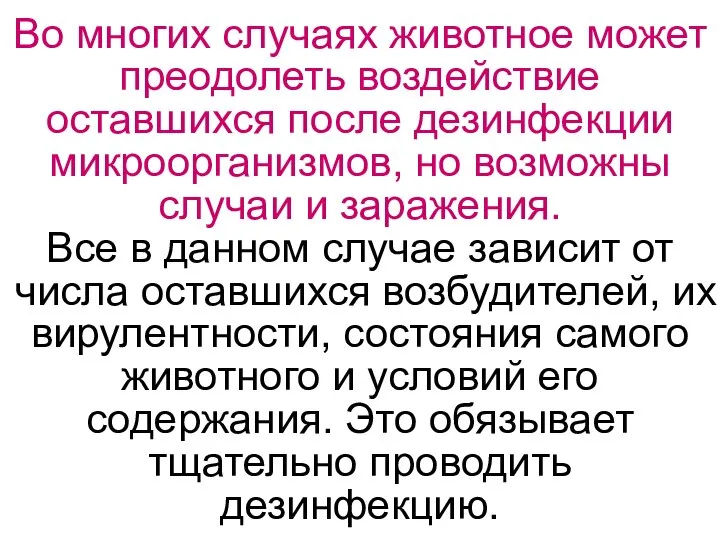 Во многих случаях животное может преодолеть воздействие оставшихся после дезинфекции микроорганизмов, но