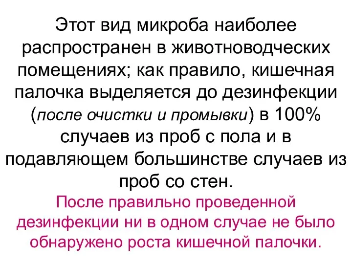 Этот вид микроба наиболее распространен в животноводческих помещениях; как правило, кишечная палочка