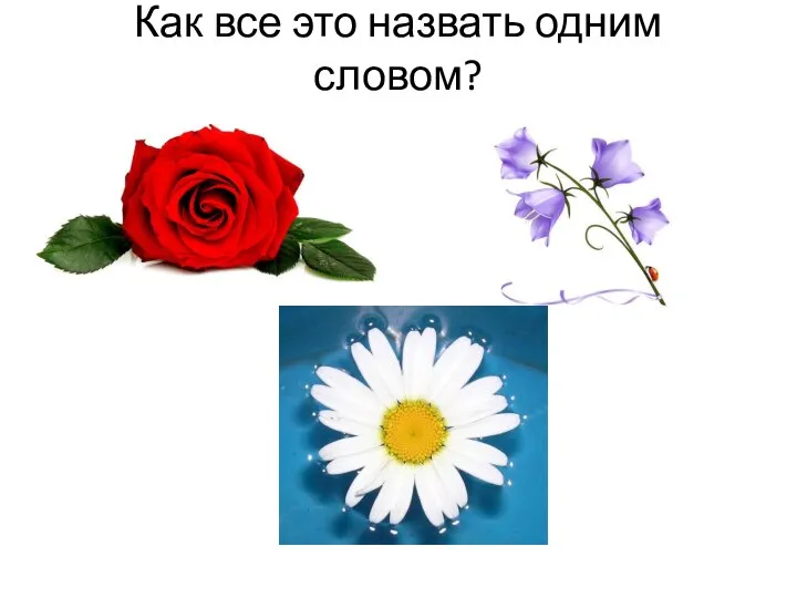 Как все это назвать одним словом?