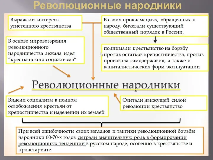 Революционные народники